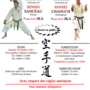 COUPE DE BRETAGNE + STAGE JKA BRETAGNE