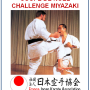 Affiche COUPE DE NOEL Challenge MIYAZAKI 2017